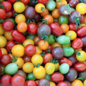 Tomato - Heirloom - Cherry - per punnet
